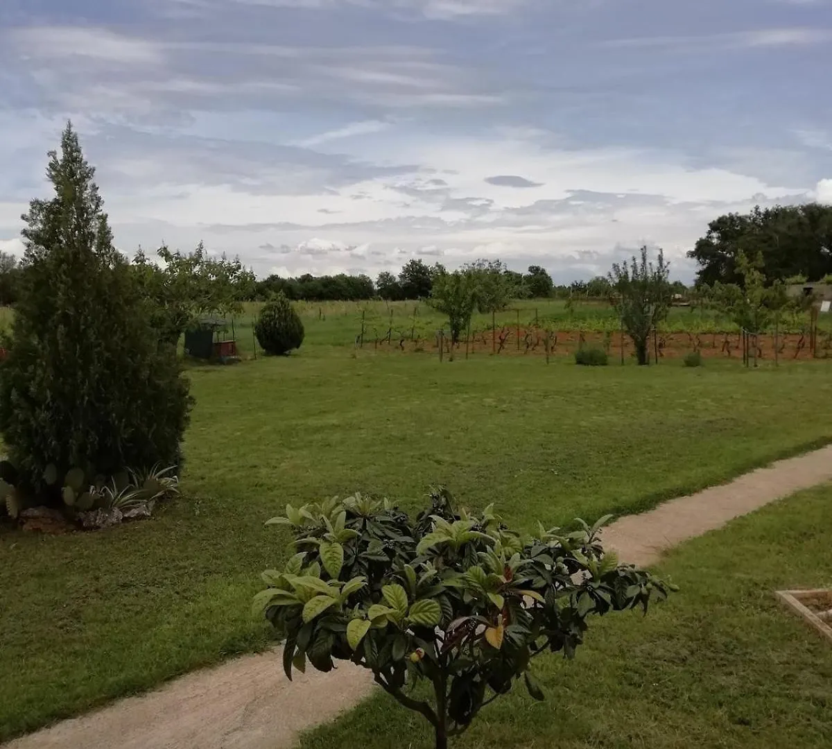 Apartments Rossa Muntic